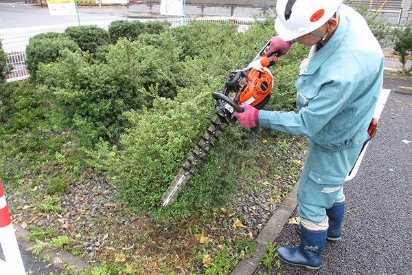 植栽管理